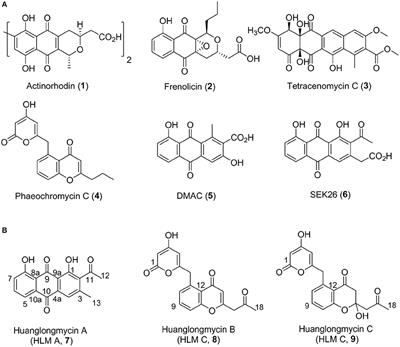 Huanglongmycin A-C, Cytotoxic Polyketides Biosynthesized by a Putative Type II Polyketide Synthase From Streptomyces sp. CB09001